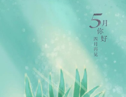 五月你好个性文案莫名伤感 有点悲伤的个性文案合集