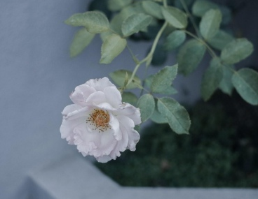 八月微信个性文案伤感大全 心里感觉到难过的悲伤文案