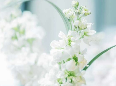 八月微信个性文案伤感大全 心里感觉到难过的悲伤文案