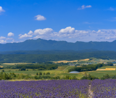 失望文案短句最新版 很难过的失望文案