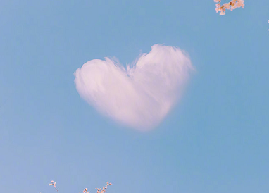 最新伤感文案很心痛 失望心凉的伤感文案