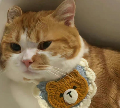 冷淡风格郁闷文案 冷漠不快乐的文案