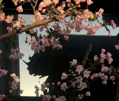 一个人委屈到哭的个性文案 想多了头疼通了心疼 一个人委屈到哭的个性文案 想多了头疼通了心疼