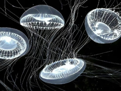 独自一人深夜emo文案 孤独泛滥深夜郁闷文案