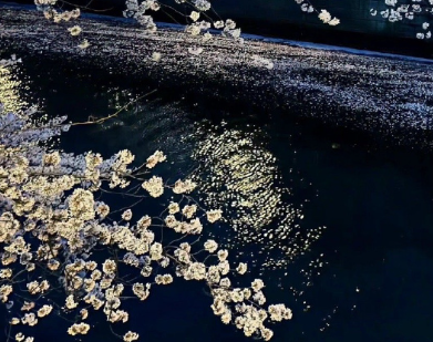 不能跟遗憾和解伤感的文案 一句让人心疼的遗憾文案