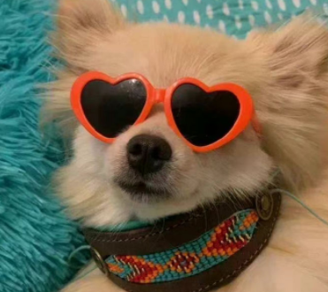 特别酷的超拽文案充满魅力 很飒的文案让人喜欢