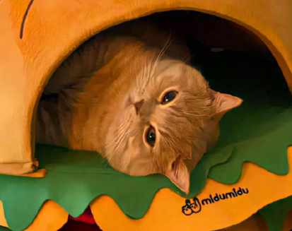 非主流个性文案超拽霸气男 霸气牛逼超拽的个性文案