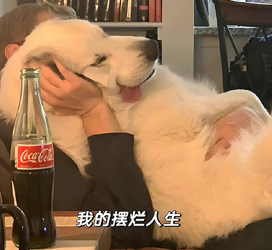 超酷个性文案文案合集 今天的潦草快乐