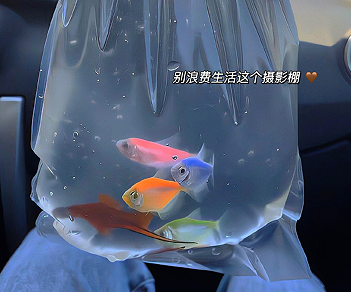 人间清醒的霸气文案 很酷的拽拽文案