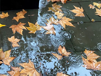 酷到爆炸的单身文案 简短的单身个性文案