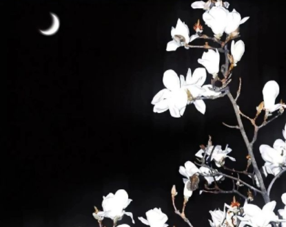 简约自由感微信文案 干净越看越喜欢的文案