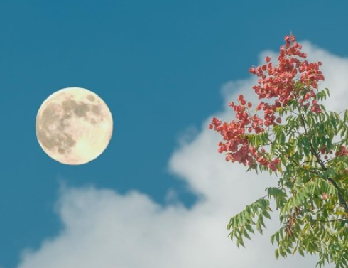 不争不抢的美好文案 做个豁达人的文案 不争不抢的美好文案 做个豁达人的文案