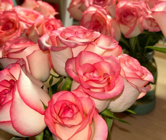 告诉自己要快乐的文案 要开心过好每一天的文案