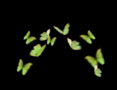 一眼就喜欢很有个性的文案 让人一眼就记住的个性文案