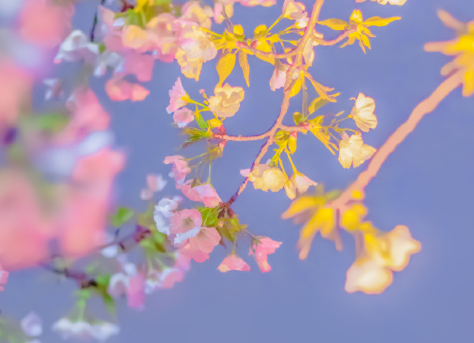 简短精辟的正能量超拽文案 无所求必满载而归