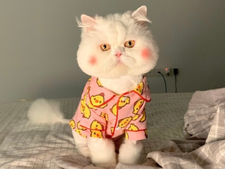 高考倒计时的励志文案 高考倒计时精致励志句子