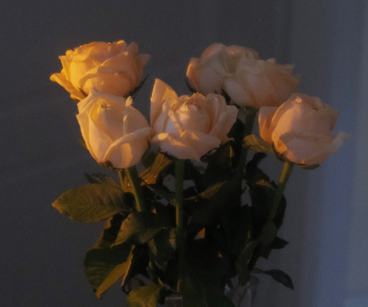 鼓励自己努力的励志文案 让自己努力起来的文案