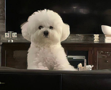 鼓励自己要坚持不懈文案 逆境中鼓励自己的文案 鼓励自己要坚持不懈文案 逆境中鼓励自己的文案