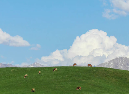 告诫自己要坚强的文案 坚强的个性文案简短