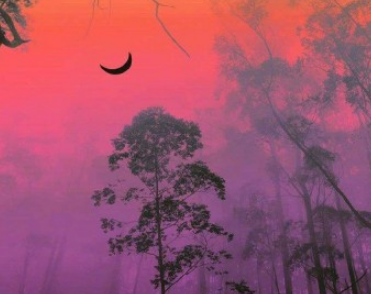 qq个性文案大全励志奋斗 愿你所到之处遍地阳光