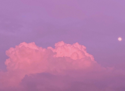 激励你成长有共鸣的文案 书中自有老年夕阳的红