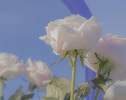 五四青年节的爱国文案 最新的爱国励志文案句子