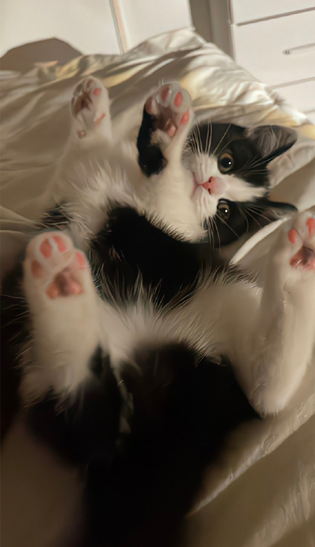 网上很火的壁纸爆好用 让你迷很久的壁纸高清