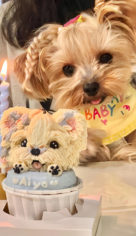 记录生活的温柔碎片壁纸 就算天天倒霉霉运也有用光的一天吧