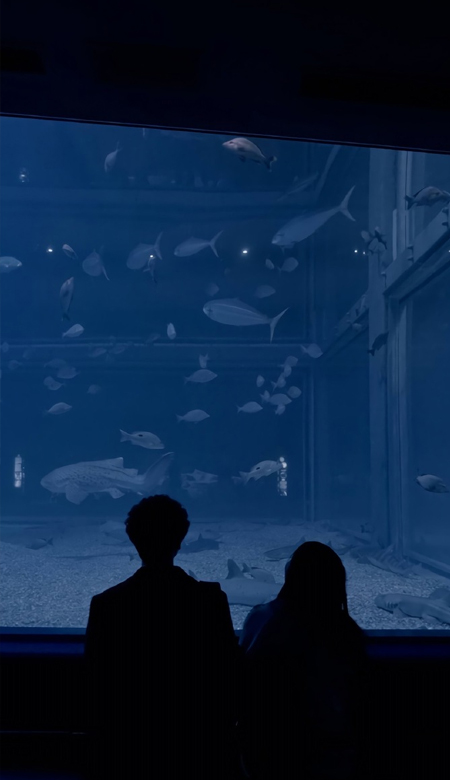 2022七夕双人情侣真人壁纸一对浪漫 白开水的淡日子里加的一颗糖