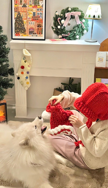 2023手机壁纸清新唯美简约耐看 一点要拥有的好看皮肤