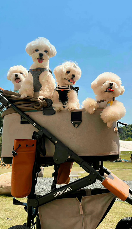 2023手机壁纸清新唯美简约耐看 一点要拥有的好看皮肤