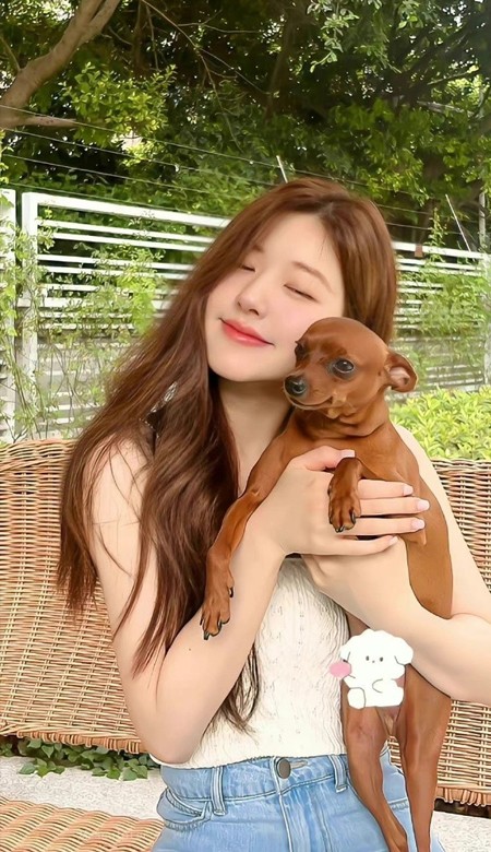 2023小红书很火的精致壁纸合集 你一定会换上的好看壁纸