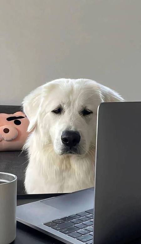 适合男生用的ins全屏壁纸高清 万物都要全力以赴包括开心