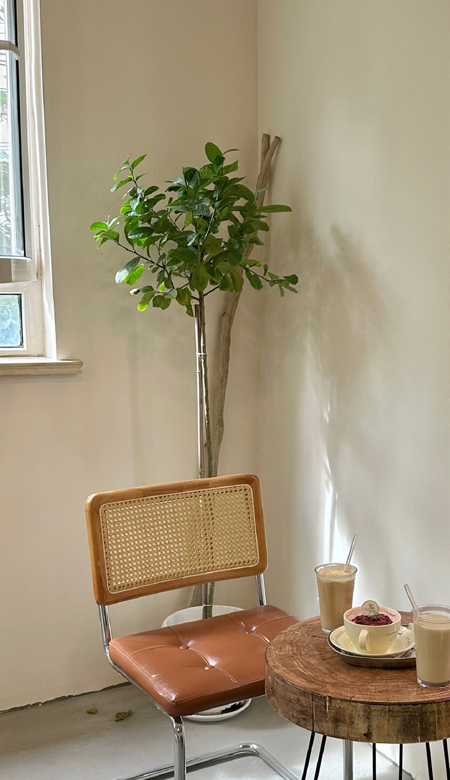 2024高颜值适合女孩子用的壁纸好看 公主请换壁纸